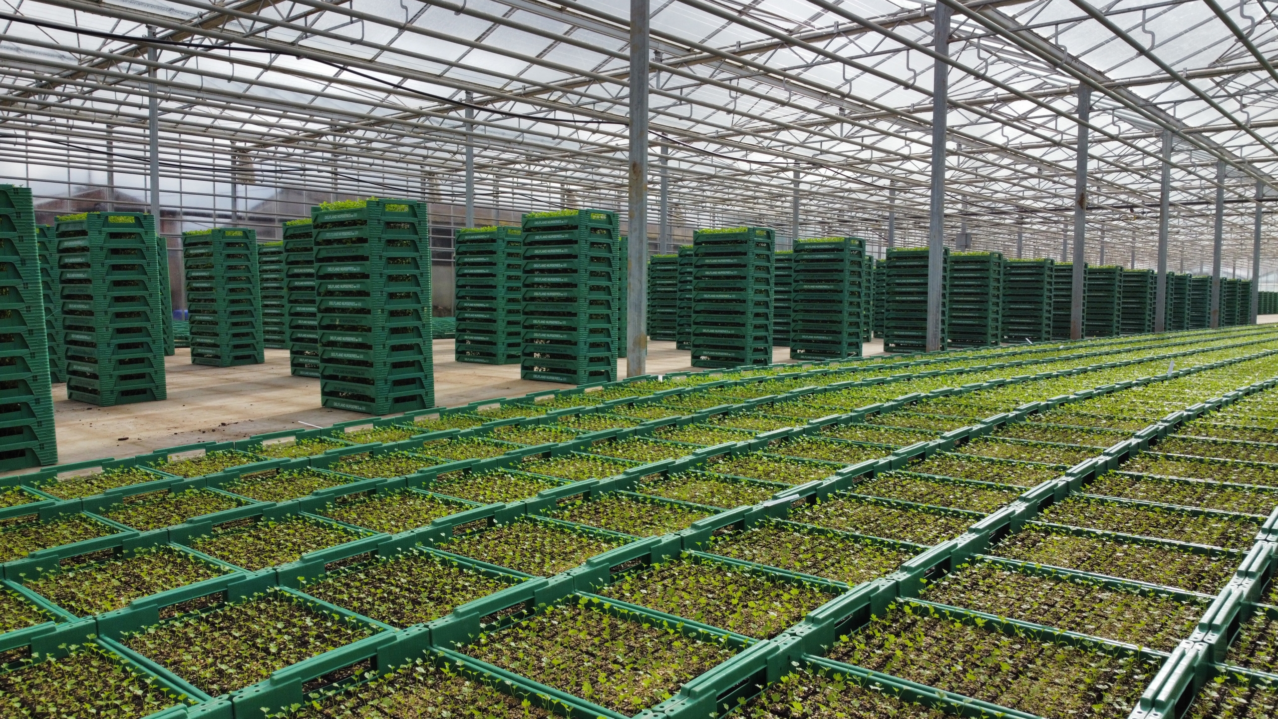 Field Greenhouse SCNE