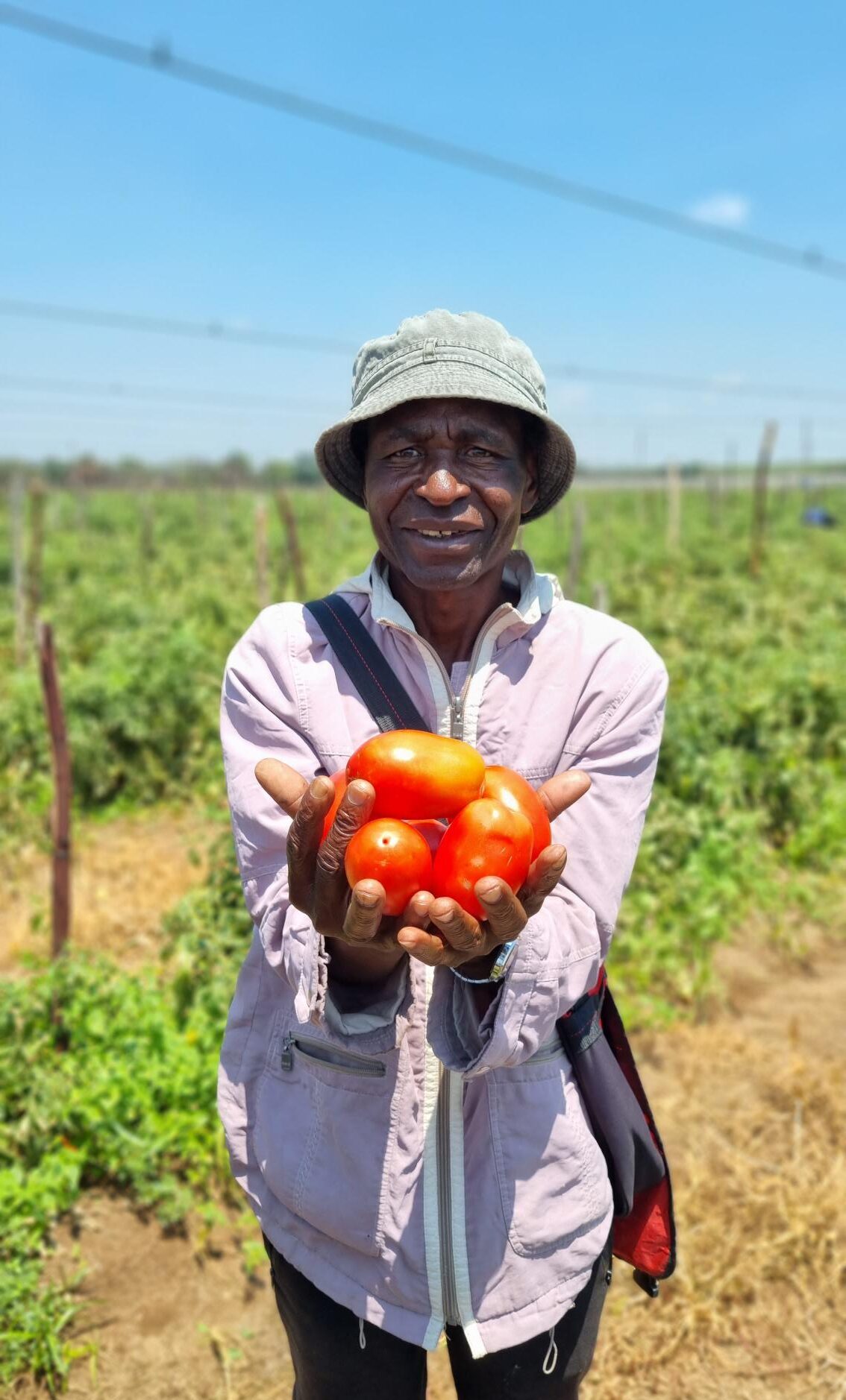 Kwando Harvest January 2023