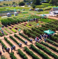 Farmer's Days 2024