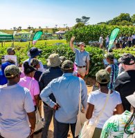 Open Days South Africa 2024