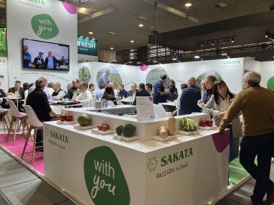 Sakata Stand