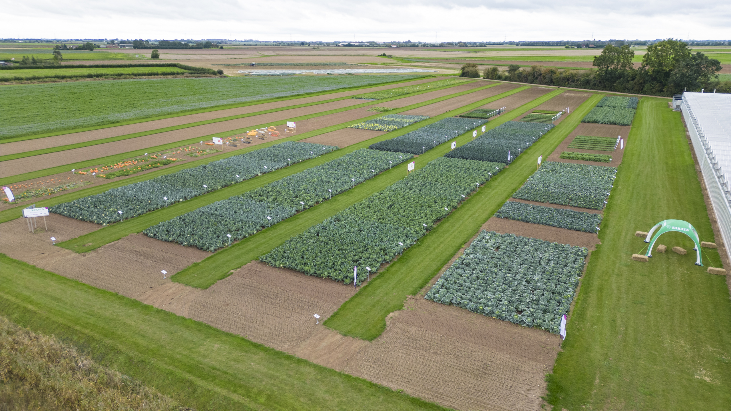 Sakata vegetable for the UK specific soil and climate conditions