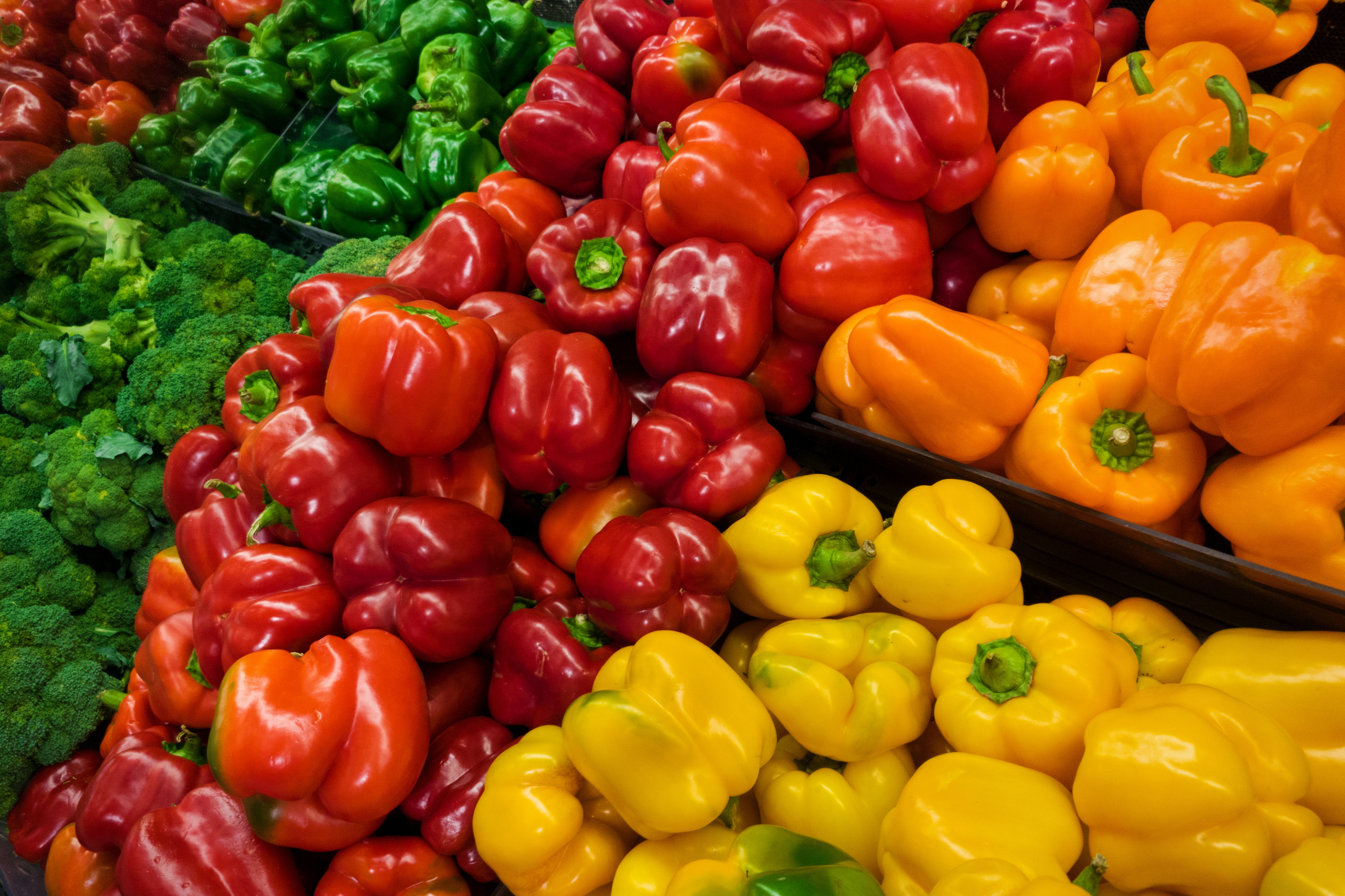 Sakata blocky pepper available all year round