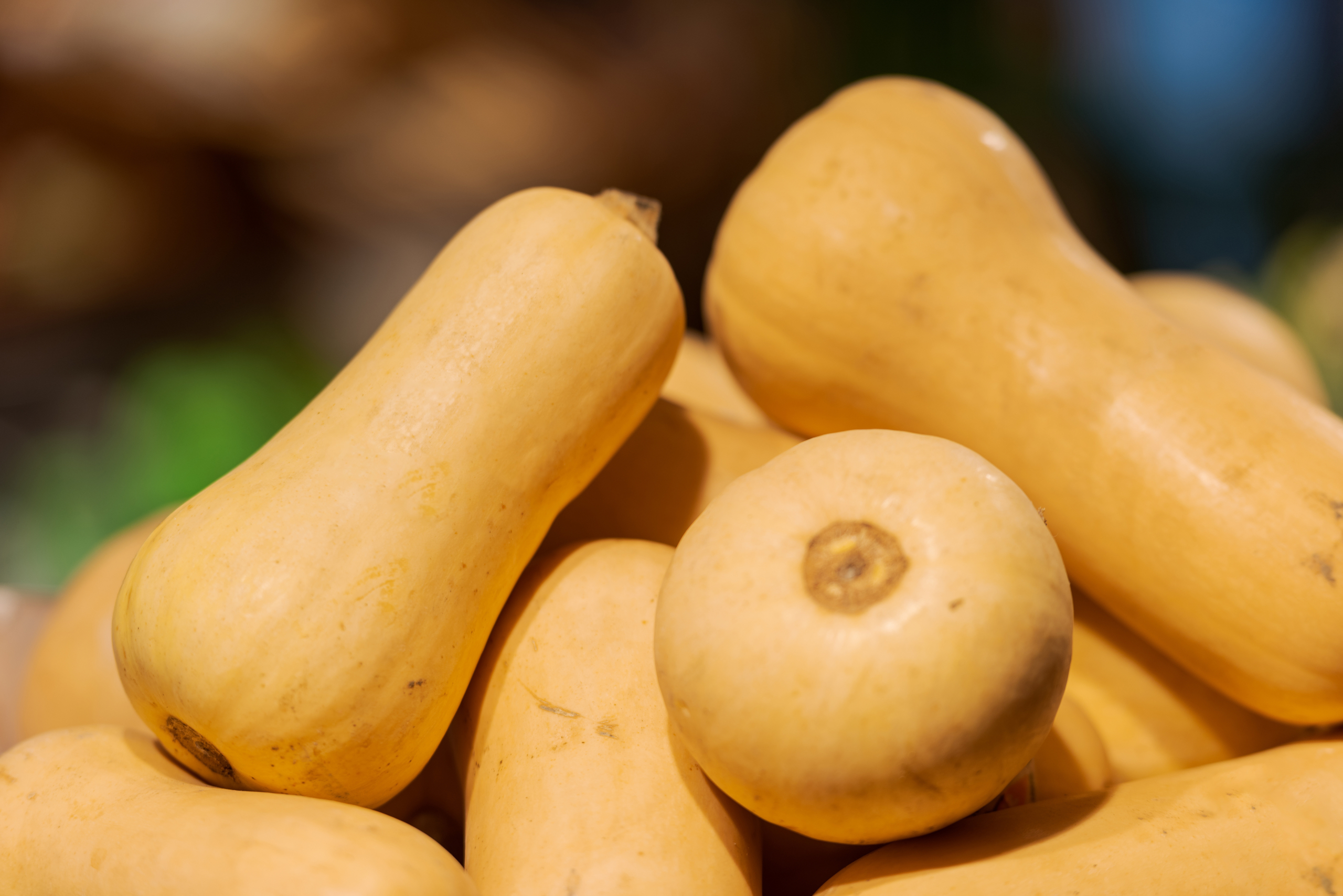 The vegetable that lasts longer on the shelf: try Sakata Estrella F1