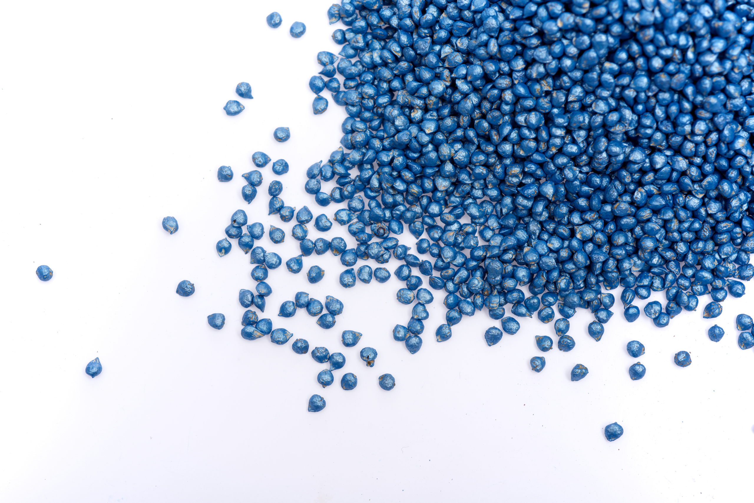 Sakata Apollo F1 coated seeds for protection during the early growth stages