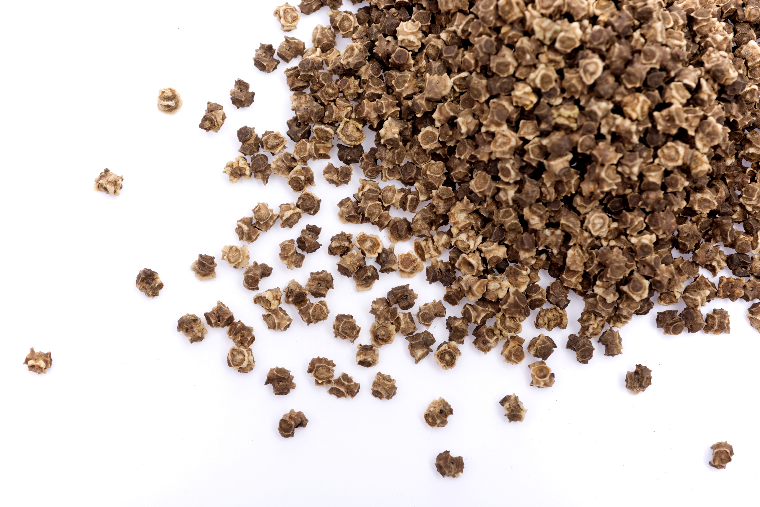 Sakata high-quality vegetable hybrid seeds