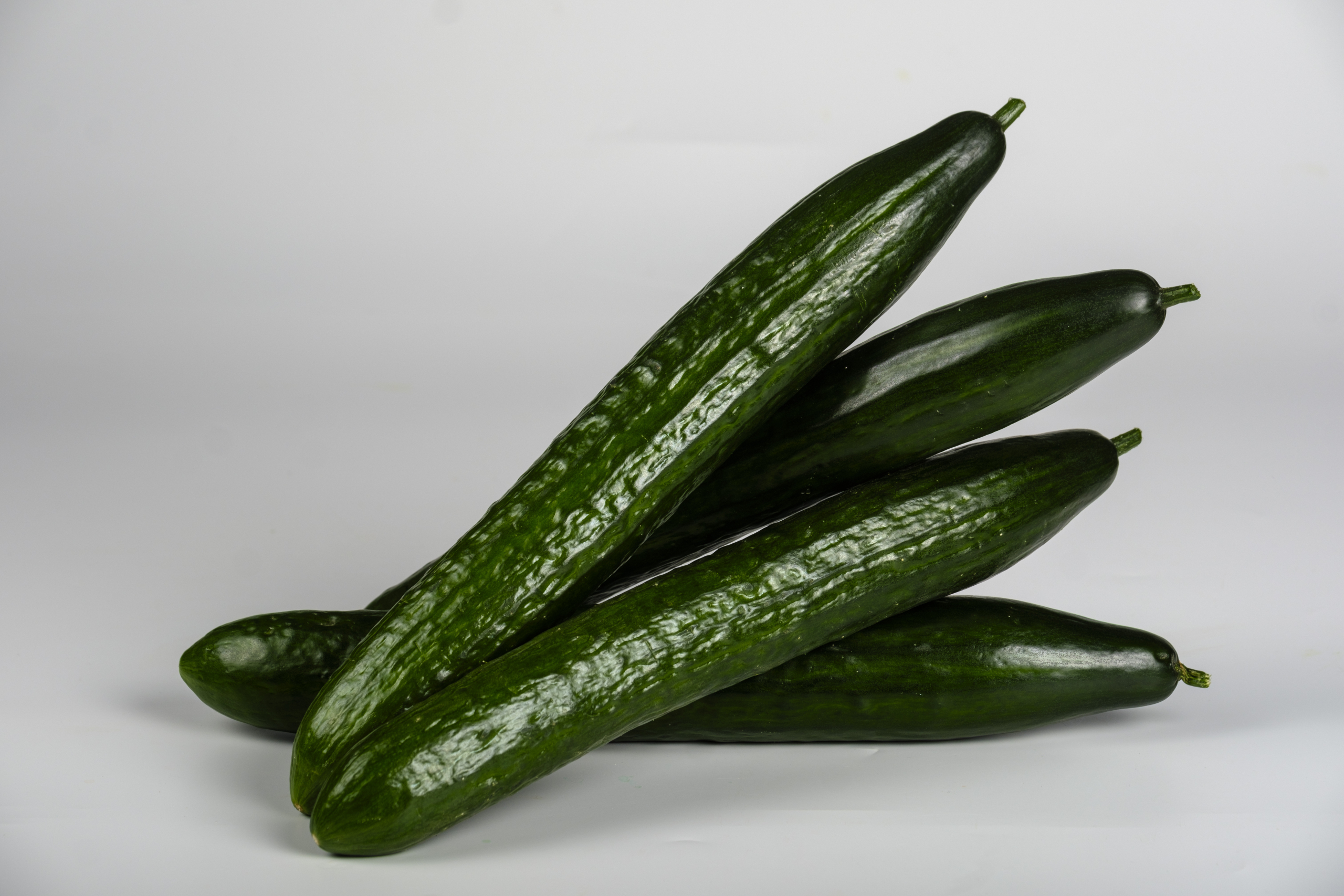 Sakata Metric F1, the shiniest cucumber on supermarket shelves