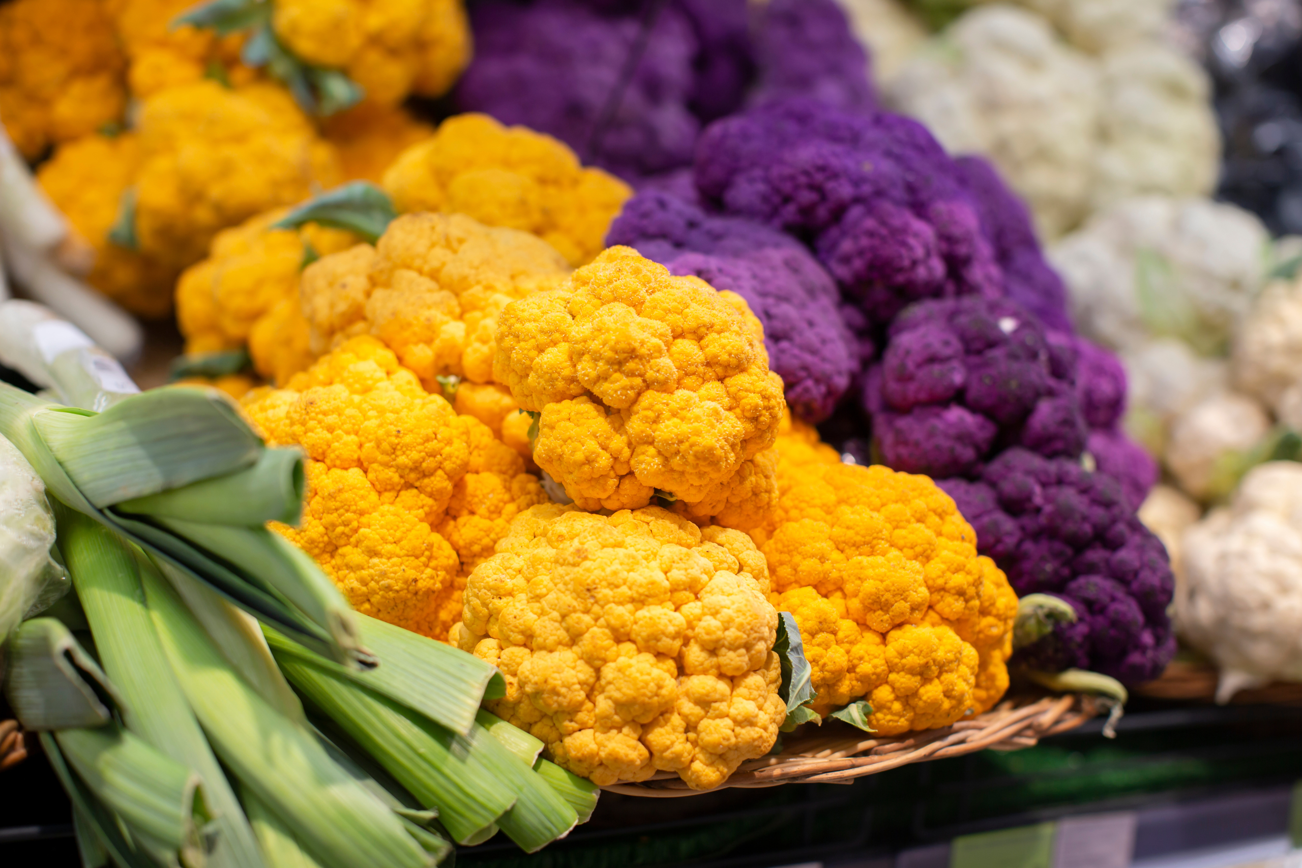 Sakata Purpurina F1 and Lisboa F1, two trendy colourful trendy cauliflowers