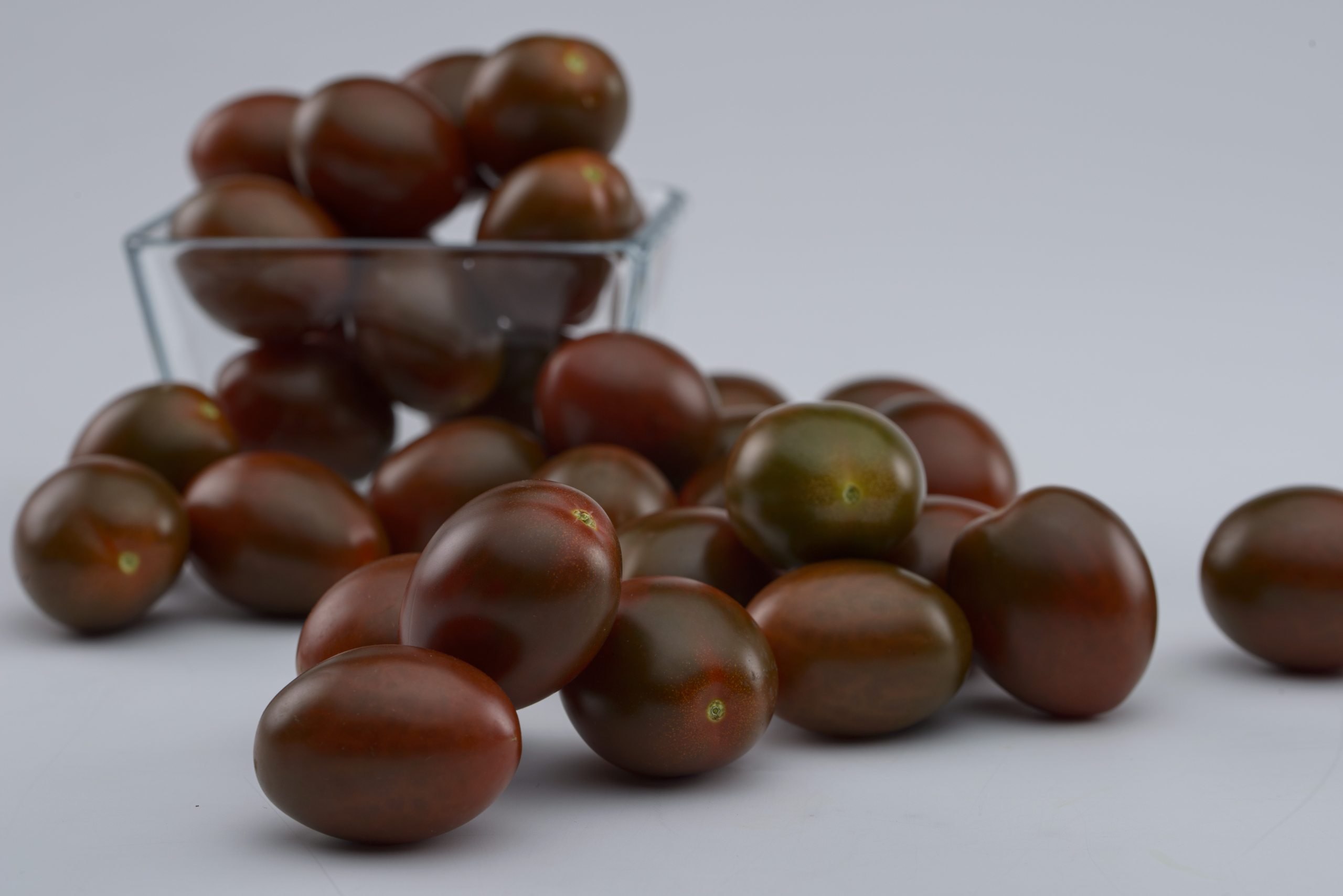 Sakata Chocostar F1, a trendy specialty tomato popular for its taste 